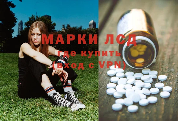 гашик Алзамай