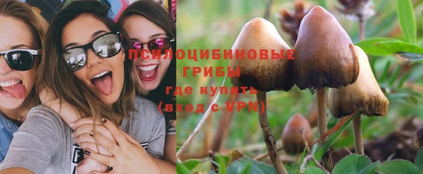 гашик Алзамай