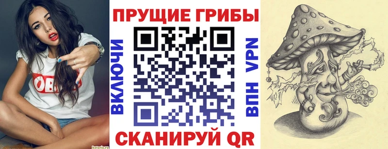 Псилоцибиновые грибы Cubensis  Славск 